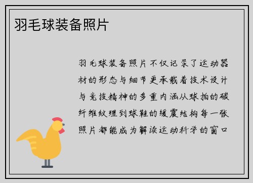 羽毛球装备照片